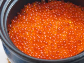 다방 쿠우카 1